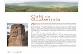 Café Guatemala · las características de fragancia, aroma, acidez, cuerpo, sabor y post sabor, de los granos guatemaltecos. En las zonas bajas, de 760 a 1.070 metros sobre el nivel