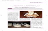 LA MASA MADRE: EL SECRETO DEL PAN · 2019-09-26 · de facilitar al panadero, tanto artesano como mecanizado, la posibilidad de recuperar el secreto del buen pan: sabor, aroma y mejor