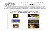 FLORA Y FAUNA DE CIUDAD EVITA · 2012-06-18 · flora y fauna de ciudad evita relevadas al: 14/06/2012 para que puedan conocer los tesoros de nuestra reserva natural, gratuitamente