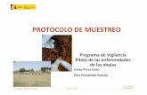 5 Protocolo de muestreo · PROTOCOLO DE MUESTREO Programa de Vigilancia Piloto de las enfermedades de las abejas Iratxe Perez Cobo Pilar Fernández Somalo. ... • 1 persona rellena