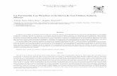 La Formación Los Picachos en la Sierra de Los Chinos ...boletinsgm.igeolcu.unam.mx/bsgm/vols/epoca04/6001/(8)SantaMaria.pdf · dos secuencias (caliza arcillosa y argilita en la base