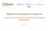 Presentación de PowerPoint · Bioeléctrica (Bio4), de 2,00 y de 1,20 MW, a partir de silo de maíz, vinaza –Córdoba Yanquetruz, de ACA de 1,20 MW sobre residuos de porcinos –San