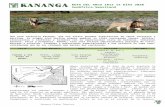 20FTI%20ARCO%20IRIS%2015… · Web viewUna ruta exclusiva Kananga, que nos ofrece grandes experiencias de fauna terrestre y marítima. En ningún otro destino puedes empezar tu viaje