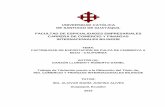 UNIVERSIDAD CATÓLICA DE SANTIAGO DE GUAYAQUIL …repositorio.ucsg.edu.ec/bitstream/3317/4163/1/T-UCSG-PRE-ESP-CFI-178.pdf · CONCLUSIONES Y RECOMENDACIONES .....95 Conclusiones ...