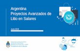 Argentina Proyectos Avanzados de Litio en Salarescima.minem.gob.ar/assets/datasets/2019-07-15... · dirección norte-sur desde 23°18’ S a 24°05’ S, y en dirección este-oeste