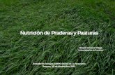 Nutrición de Praderas y Pasturaspraderasypasturas.com/rolando/06.-Charlas_y_Seminarios/... · 2013-07-21 · incremento de la producción y calidad de forraje es necesario considerar