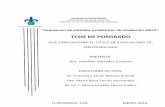 TESIS DE POSGRADO - Universidad Veracruzana · 2014-07-04 · UNIVERSIDAD VERACRUZANA SERVICIOS DE SALUD DE VERACRUZ . HOSPITAL DE ALTA ESPECIALIDAD DE VERACRUZ “Evaluación de