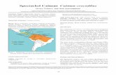 SpectacledCaiman Caimancrocodilus ... El Salvador: Escobedo et al. (2004) report the ¯¬¾ rst crocodilian