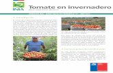 CONVENIO INIA - INDAP: PAUTA DE CHEQUEO N° 12 - AÑO 2017 · Esta pauta de chequeo del cultivo del tomate en invernadero se basa en el control de los componentes de rendimiento y