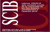 Informe 159/2018 TOM dels comptes anuals les Illes Balears ... · Informe dels comptes anuals de la Universitat de les Illes Balears corresponent a l'exercici 2016 3 I. INTRODUCCIÓ