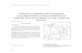 Litofacies y Diagénesis de la Formación Tamaulipas Inferior …boletinsgm.igeolcu.unam.mx/bsgm/vols/epoca03/3902/(2... · 2019-11-21 · Geológicamente se encuentra en la cuenca