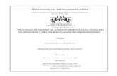 UNIVERSIDAD IBEROAMERICANA · UNIVERSIDAD IBEROAMERICANA . Estudios con Reconocimiento de Validez Oficial por Decreto Presidencial . del 3 de abril de 1981 “PROCESOS DE CAMBIO DE