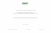 Solicitud de Propuesta (SDP) - CAF · 2019-03-19 · documento propiedad de caf confidencial página 1 de 19 caf banco de desarrollo de amÉrica latina vicepresidencia de desarrollo