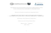Facultad de Ciencias Económicas de la Universidad de Buenos Airesbibliotecadigital.econ.uba.ar/download/tpos/1502-0874... · 2015-11-10 · 2 RESUMEN Castellano: La tesis sobre “modelo