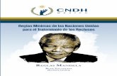 Reglas Mínimas de las Naciones Unidas Reglas Mínimas de ...penitenciario mexicano, el cual de manera armónica con el ... sida En el año 2005 fundó “Nelson Mandela Legacy Trust”,