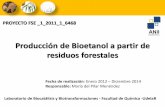 Presentación de PowerPoint · Producción de Bioetanol a partir de residuos forestales PROYECTO FSE _1_2011_1_6468 Fecha de realización: Enero 2012 – Diciembre 2014 Responsable: