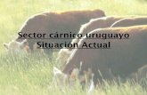Sector cárnico uruguayo Situación Actual · Instituto Nacional de Carnes (INAC) Organismo público no estatal creado por Ley para la proposición, asesoramiento y ejecución de