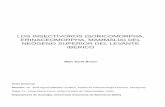 Los Insectívoros (Soricomorpha, Erinaceomorpha, Mammalia) del … · 2017-12-16 · LOS INSECTÍVOROS (SORICOMORPHA, ERINACEOMORPHA, MAMMALIA) DEL NEÓGENO SUPERIOR DEL LEVANTE IBÉRICO