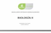 BIOLOGÍA IIedu.jalisco.gob.mx/educacion-media-superior/sites/edu... · 2018-08-06 · Bloque II: Sistemas de integración, regulación y reproducción del ser humano. 16 ... procedimientos