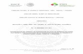 sipot.fnd.gob.mxsipot.fnd.gob.mx/sipot/DERMS/6-GA-70 XXVIII-A/ITP 2017... · Web viewEl proveedor deberá entregar a la Financiera Nacional de Desarrollo Agropecuario, Rural, Forestal
