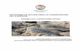 PROGRAMA DE ACCIÓN PARA LA CONSERVACIÓN DE LA ESPECIE: Tortuga … · 2015-08-20 · la Recuperación de la Tortuga Lora (Lepidochelys kempii), cuya versión revisada se firmó