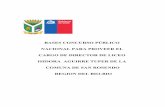 BASES CONCURSO P£‘BLICO NACIONAL PARA PROVEER EL CARGO DE DIRECTOR DE mun 2013-02-07¢  Organigrama 5
