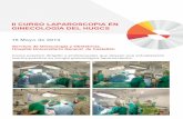 › files › 1470-2668-fichero › Curso... · II CURSO LAPAROSCOPIA EN GINECOLOGÍA DEL HUGCSServicio de Ginecologia y Obstetricia del Hospital Universitario General de Castellón