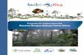 RESERVA BOSQUE NUBOSO SANTA ELENA experiencias locales... · ELENA (RBNSE) La Reserva Bosque Nuboso Santa Elena se localiza en el área de Monteverde, en una finca propiedad del Estado