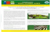NR41003 - INIAbiblioteca.inia.cl/medios/biblioteca/informativos/NR41003.pdf · La hidroponía es una técnica que permite el cultivo de plantas sin utilizar suelo como fuente de nutrientes,