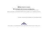 DERECHO - esap.edu.coesap.edu.co/portal//wp-content/uploads/2017/10/3-Derecho-Constitucional.pdf · derecho, en algo adquirido, en nuevos valores, en nuevas conquistas, en reformas,