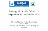 Bioseguridad de OGM: La experiencia de Guatemala · experiencia de Guatemala Oficina Técnica de Biodiversidad OTECBIO . Consejo Nacional de Áreas Protegidas CONAP •Desde la Constitución