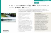 La Convención de Ramsar: ¿de qué trata? · A fecha de abril de 2015, hay más de 2.100 sitios Ramsar designados, que abarcan más de 208 millones de hectáreas, una superficie