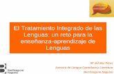 El Tratamiento Integrado de las Lenguas: un reto para la ... · simultánea de las lenguas en los distintos entornos en los que los hablantes participan. Estas constataciones determinan