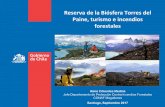 Reserva de la Biósfera Torres del Paine, turismo e ... · (UNESCO, 2000), y Torres del Paine representa sin lugar a dudas uno de los sitios en donde esta interacción, que teniendo