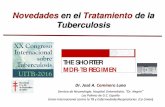 Novedades en el Tratamiento de la Tuberculosis...MDR-TB REGIMEN Novedades en el Tratamiento de la Tuberculosis 1º. Disminuir , lo más rápido posible :-La Posibilidad de Morir del