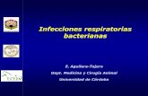 Infecciones respiratorias bacterianas · Infecciones respiratorias bacterianas E. Aguilera-Tejero Dept. Medicina y Cirugía Animal Universidad de Córdoba