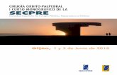 CIRUGÍA ORBITO-PALPEBRAL I CURSO MONOGRÁFICO DE LA …plastiberica.com/web/pdf/programa_final.pdf · 2018-05-31 · del Principado de Asturias Dr. D. Carlos del Cacho García Presidente