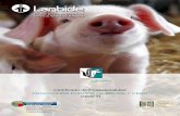CP AGAP0208 Prod porcina de recria y cebo - Lanbideapps.lanbide.euskadi.net/descargas/egailancas/... · CR1.4 Las raciones alimenticias en cerdos de recría se distribuyen de acuerdo