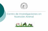 Centro de Investigaciones en Nutrición Animalfeednet.senasa.go.cr/noticias/JORNADAS_01_OCT.pdf · 2009-10-07 · Misión Somos el Centro de Investigación de la Universidad de Costa