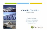 Flavia Liberona Directora Ejecutiva Fundación Terram...concepto de sustentabilidad como una nueva forma de desarrollo que implica ... planes de descontaminación en las ciudades más