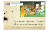 Hemorragia Digestiva. Técnicas de hemostasia endoscópica.aeeed.com/documentos/publicos/taller/Sesion_II... · 2019-03-14 · Hemorragia Digestiva. Técnicas de hemostasia endoscópica.