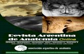 REVISTA ARGENTINA DE ANATOMÍA ONLINE · 2018-10-08 · REVISTA ARGENTINA DE ANATOMÍA ONLINE. Publicación de la Asociación Argentina de Anatomía. Órgano Oficial de la Asociación