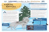 De a - UNAM · 2016-05-02 · LA UNAM presenta el quehacer de los científicos al alcance de nuestros lectores El origen del perro, la especie doméstica más popular del planeta,