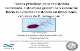 Presentación de PowerPoint · 2015-12-10 · Describir las vías moleculares de la evolución hacia la extrema resistencia antibiótica (XDR) en las infecciones crónicas de P. aeruginosa.