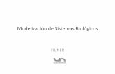 Modelización de Sistemas Biológicosmodelizacion-fiuner.wdfiles.com/local--files/inicio/Analog2012_Ivan.pdf · Modelización por analogías • Generalmente el conocimientodel modelador
