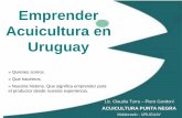 Emprender Acuicultura en Uruguay acuicultura/EMPRENDER.pdfGranja familiar de cultivo de organismos acuícolas. Campo de INC . Langostas Pinzas Rojas (Cherax quadricarinatus), cultivo