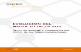 evolucion negocio voz - AUI - Asociación de Usuarios de Internetaui.es/IMG/pdf_evolucion_negocio_voz_04.pdf · 2013-06-17 · PUNTOS CLAVE Evolución del negocio de la voz 5 •