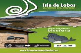 Isla de Lobos - Fuerteventuragestion.cabildofuer.es/.../assets/cuadernoprofesorlobos.pdfISLA DE LOBOS 5 Cuaderno del Profesor INTRODUCCIÓN Esta unidad didáctica es una propuesta
