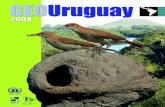 GEO Uruguay - Claesambiental.net/wp-content/uploads/2008/12/GeoUruguay2008.pdf · 1. Marco conceptual y bienestar humano ... 3.6 El consumismo y los nuevos patrones mundiales .....