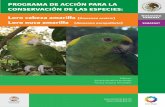 PROGRAMA DE ACCIÓN PARA LA CONSERVACIÓN DE LAS … · Programa de Acción para la Conservación de las Especies: Loro cabeza amarilla (Amazona oratrix) loro nuca amarilla (Amazona